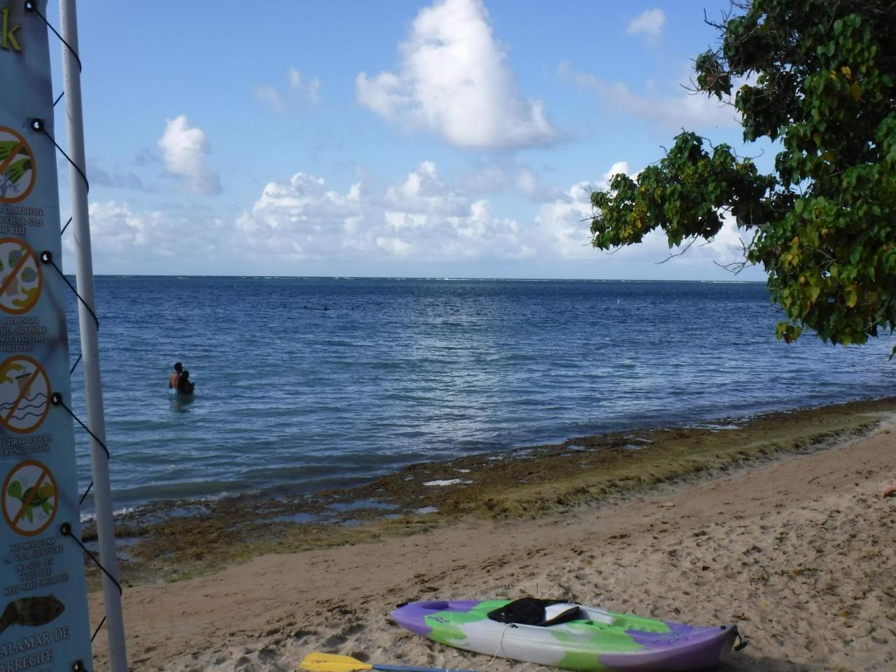 La Casona Beach House Fajardo Eksteriør billede